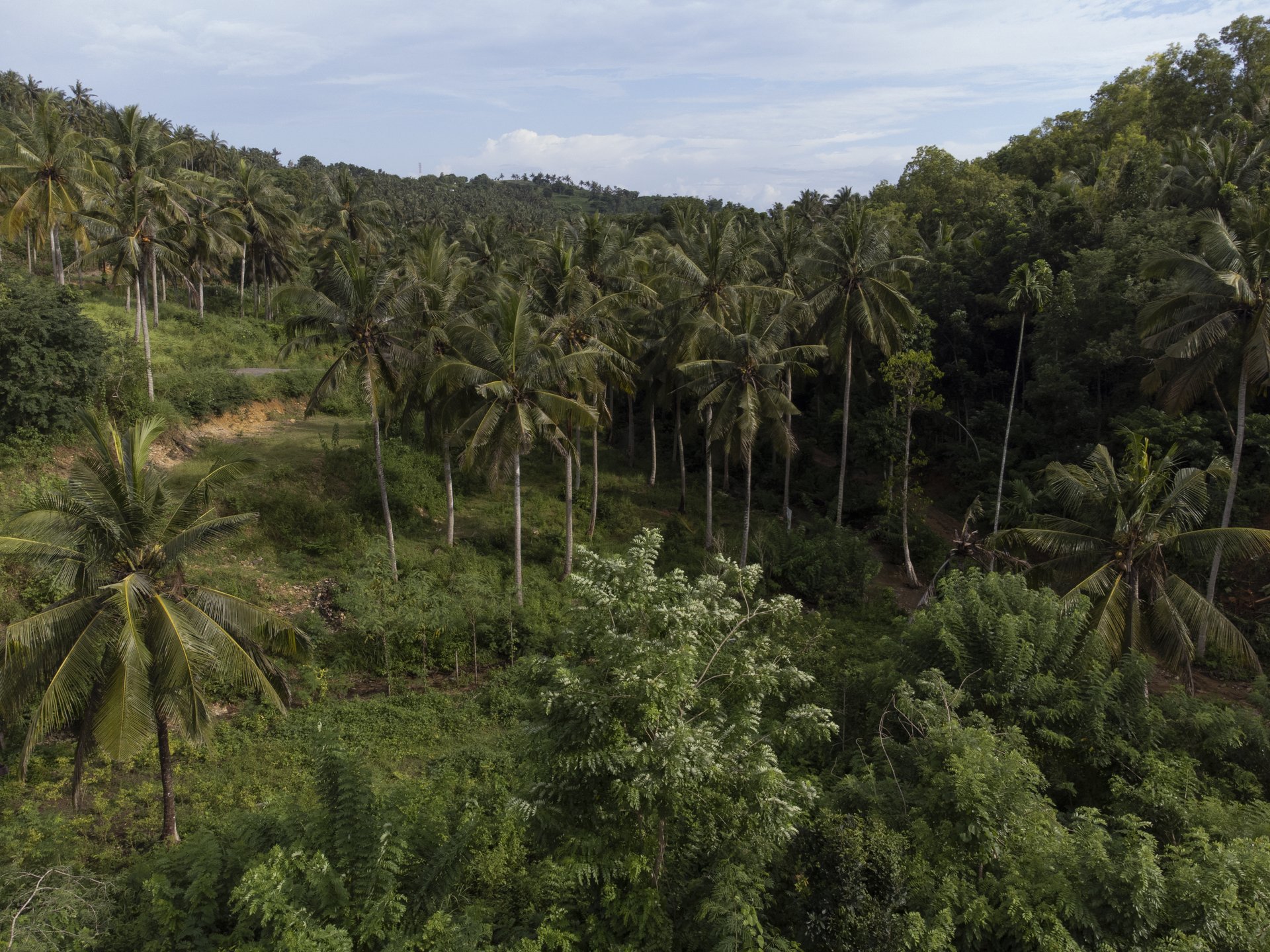 Freehold Land | Jungle & Ocean Views Minutes From Kuta’s Beaches